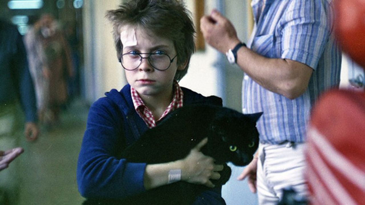     Seriale dla dzieci i młodzieży w TVP VOD. Co warto obejrzeć?