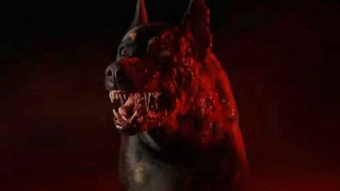     Resident Evil - krótki teaser zapowiada serial aktorski Netflixa. Co wiemy?