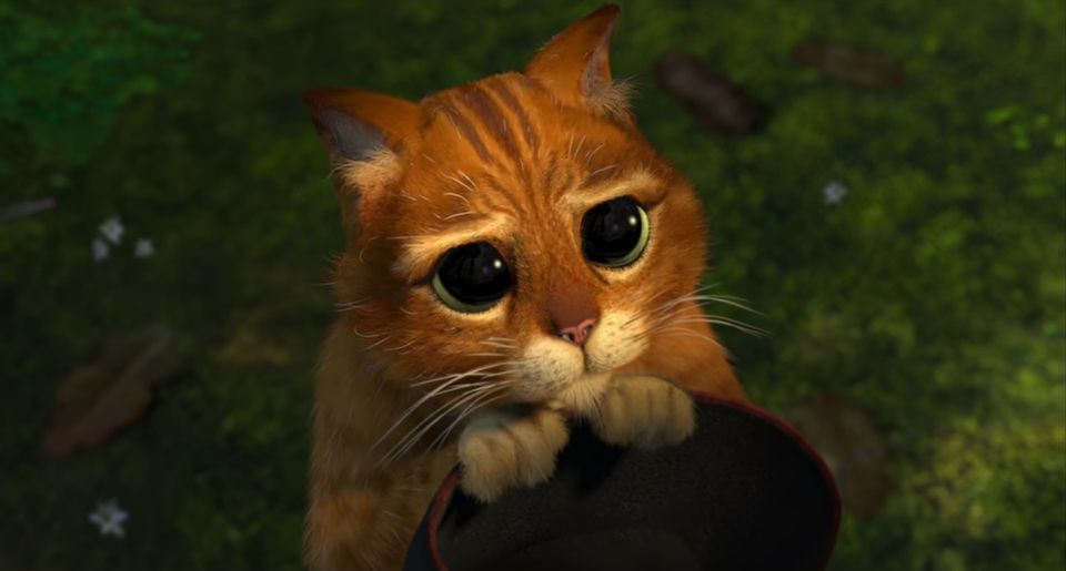 Shrek 5 - Antonio Banderas o potencjalnej kontynuacji. Są na to szanse?