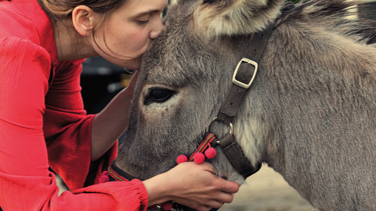 Poznaliśmy tytuły filmów, które powalczą o miano polskiego kandydata do Oscara