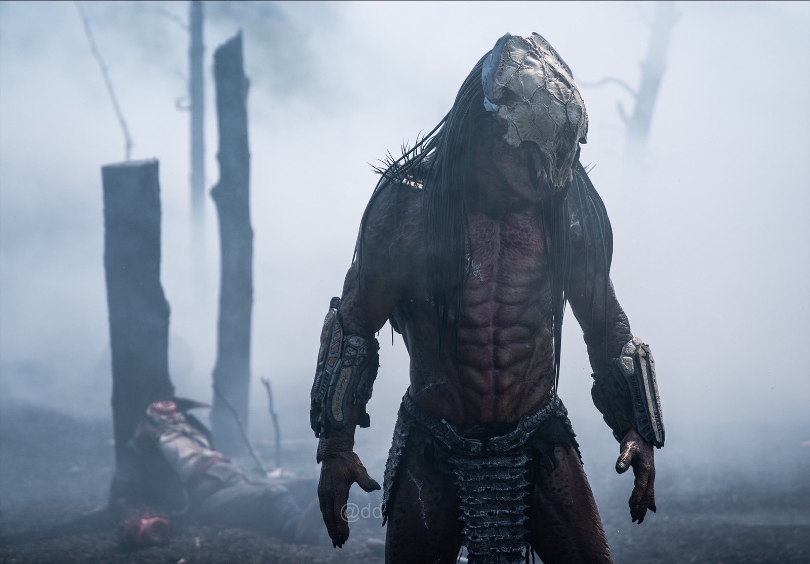     Predator - będzie kolejny film? Reżyser Prey komentuje