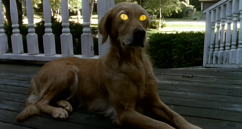     Już za chwilę, drodzy czytelnicy, strach wam włosy zjeży na głowie