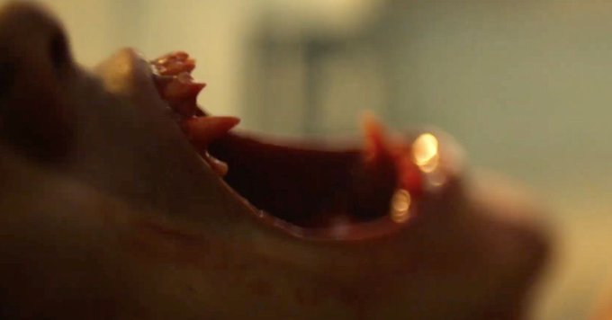 Wolf Pack - teaser serialu o wilkołakach. Twórca Teen Wolf i gwiazda Buffy łączą siły