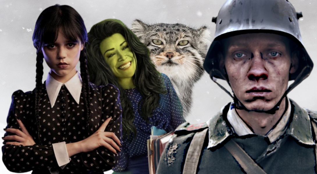     Zachwyty i rozczarowania 2022 roku – Kamila Markowska