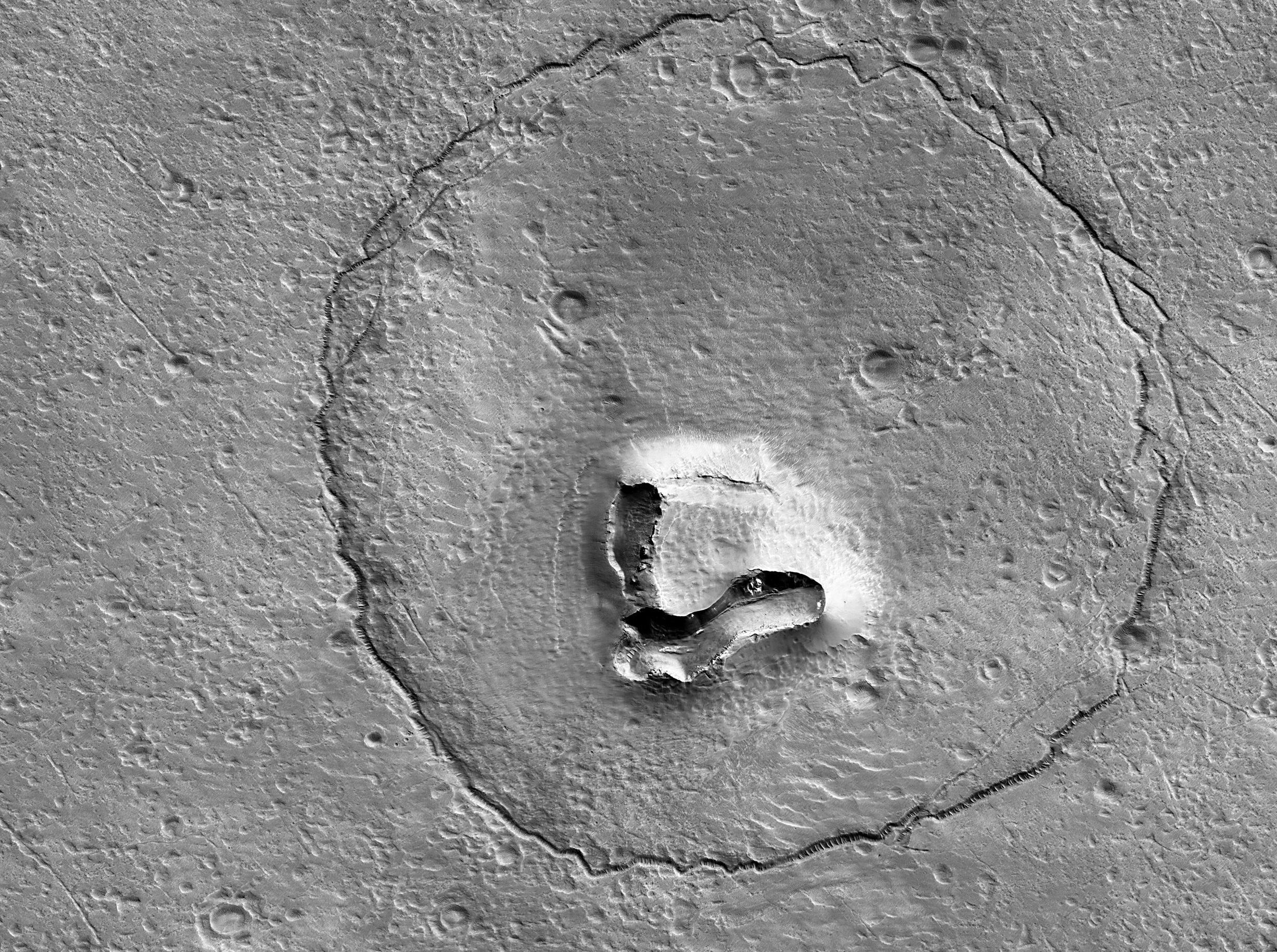 "Niedźwiedź" na Marsie