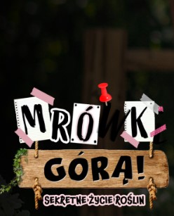     Mrówki górą! Sekretne życie roślin