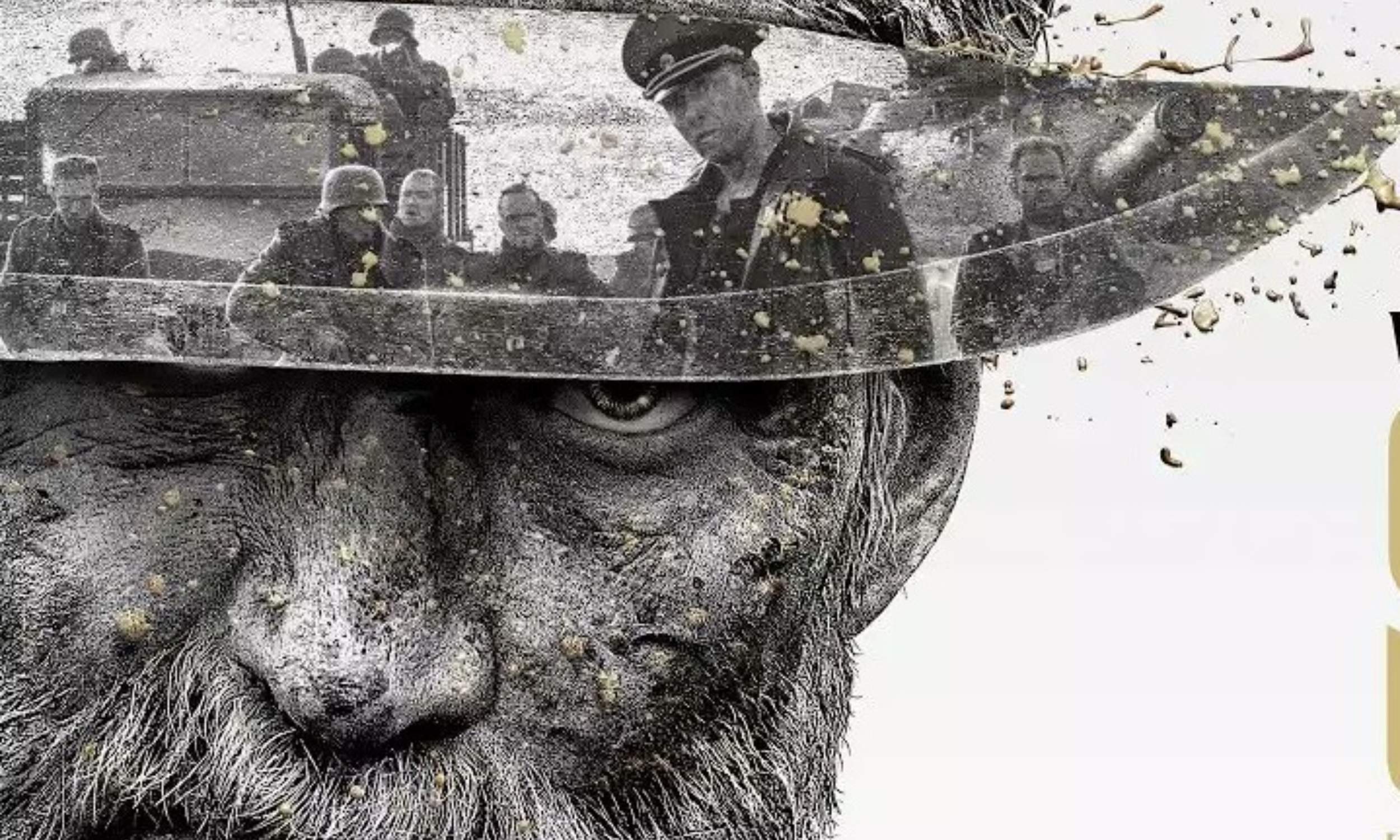     Sisu online. Premiera w VOD - cena, platformy