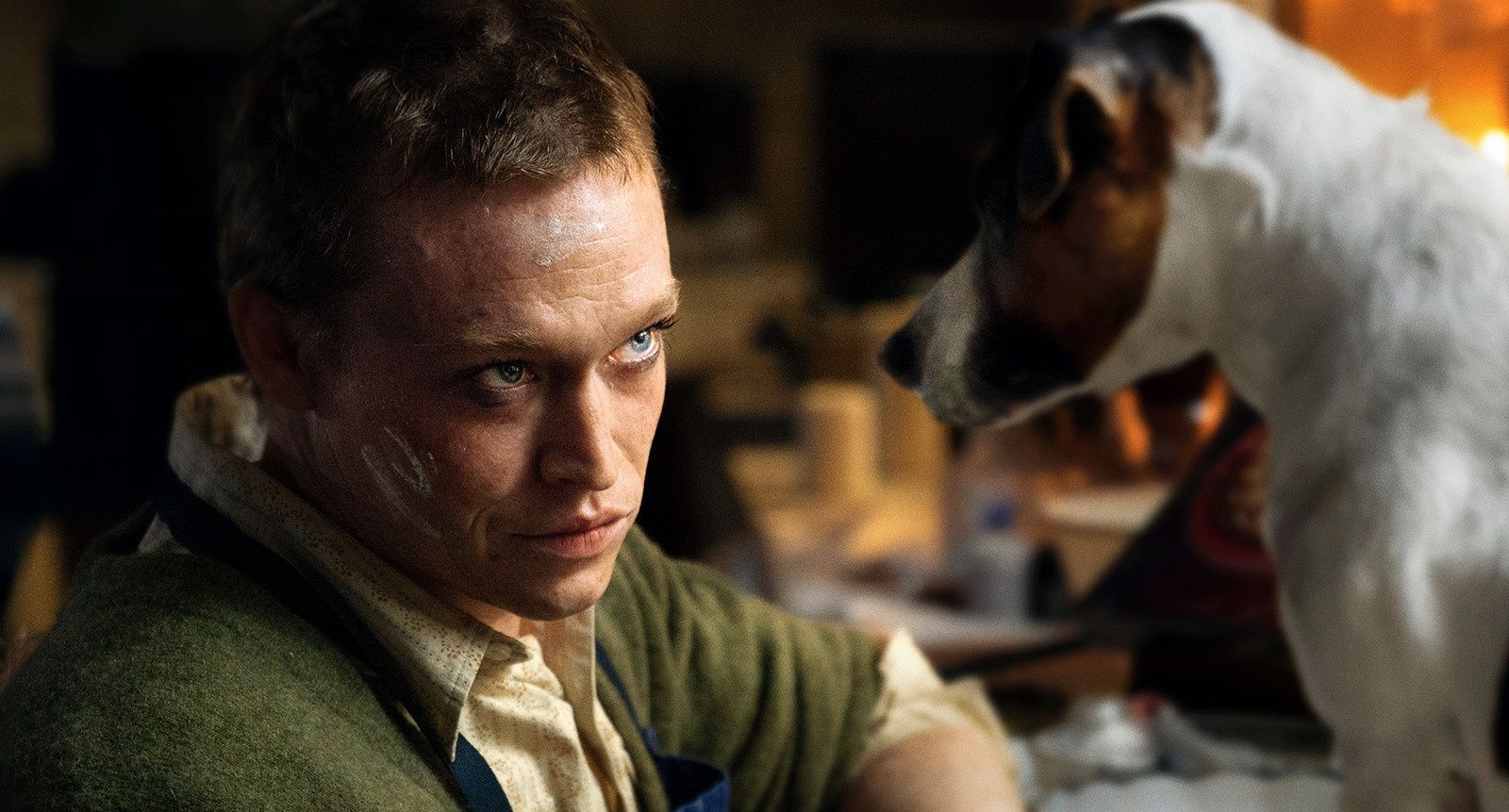     Dogman - zwiastun filmu Luca Bessona. To będzie udany powrót reżysera?