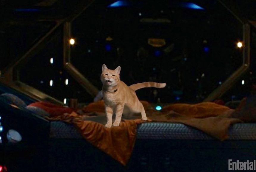     Marvels - jak ważną rolę będzie miała Goose w filmie?