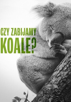     Czy zabijamy koale?