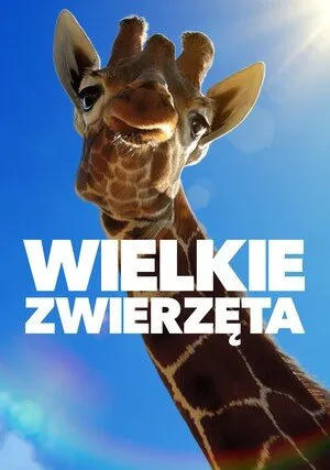     Wielkie zwierzęta