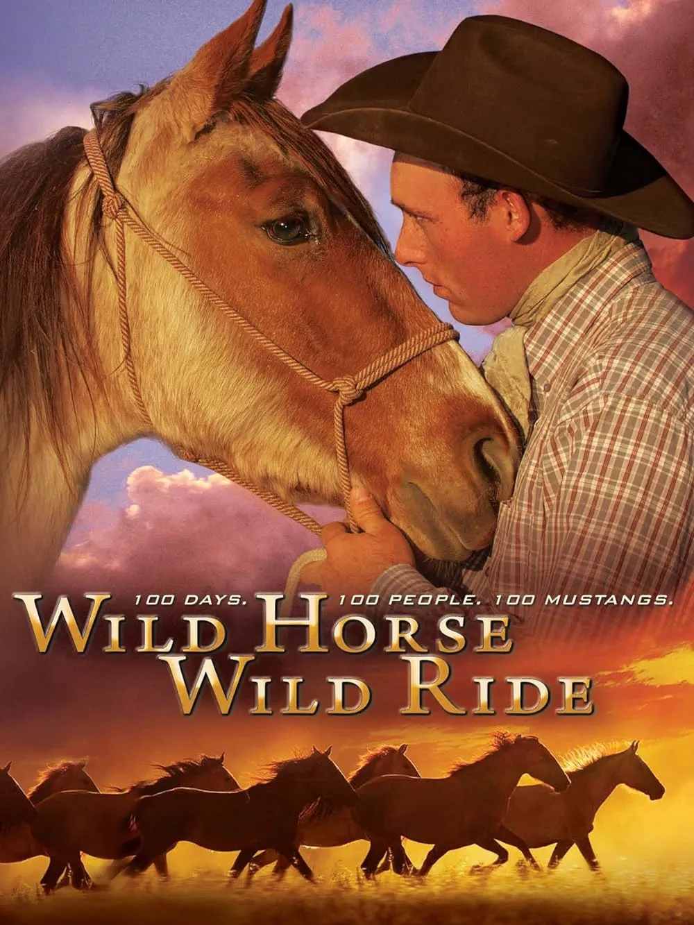     Wild Horse, Wild Ride