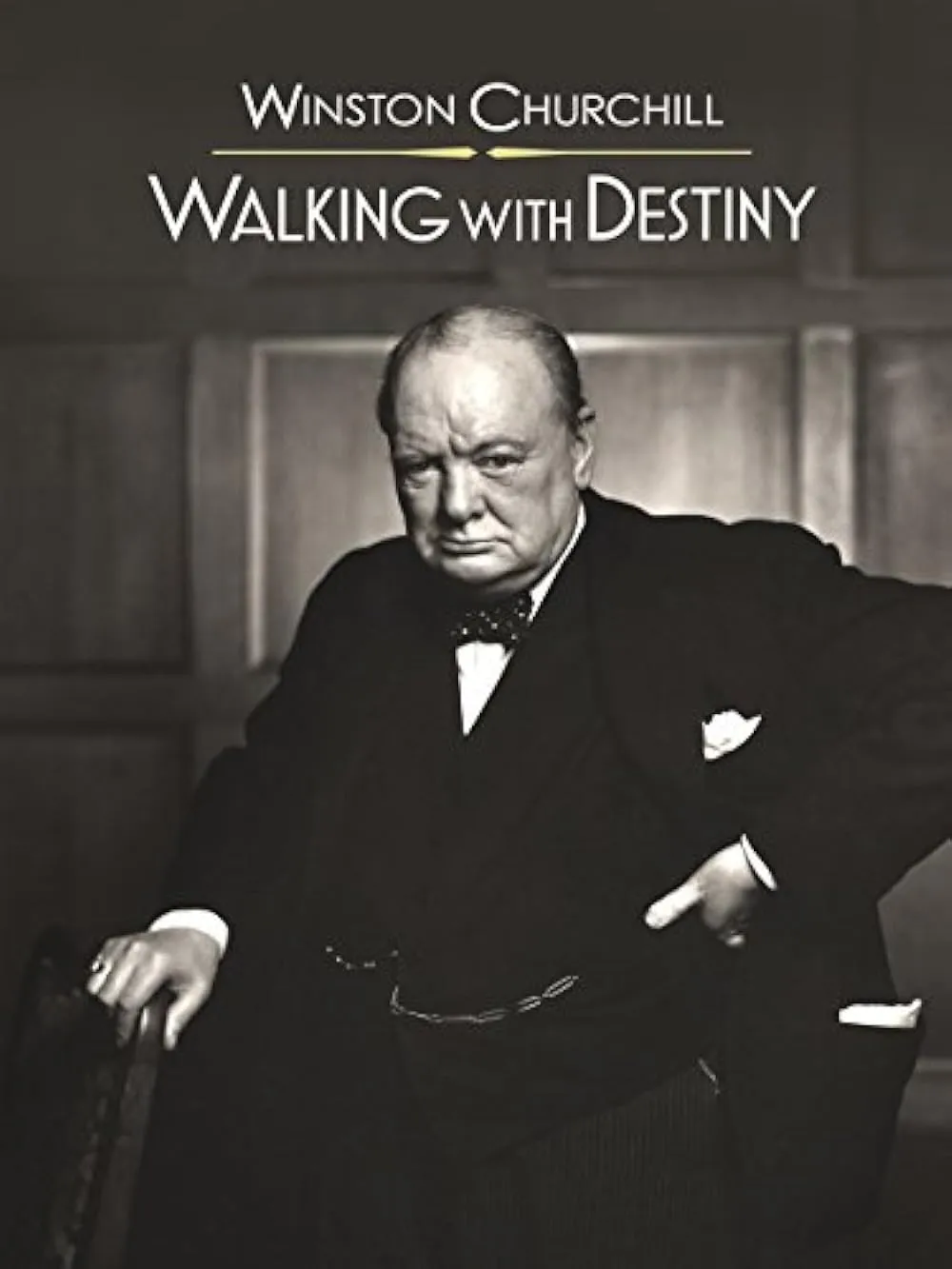     Winston Churchill: Walking with Destiny