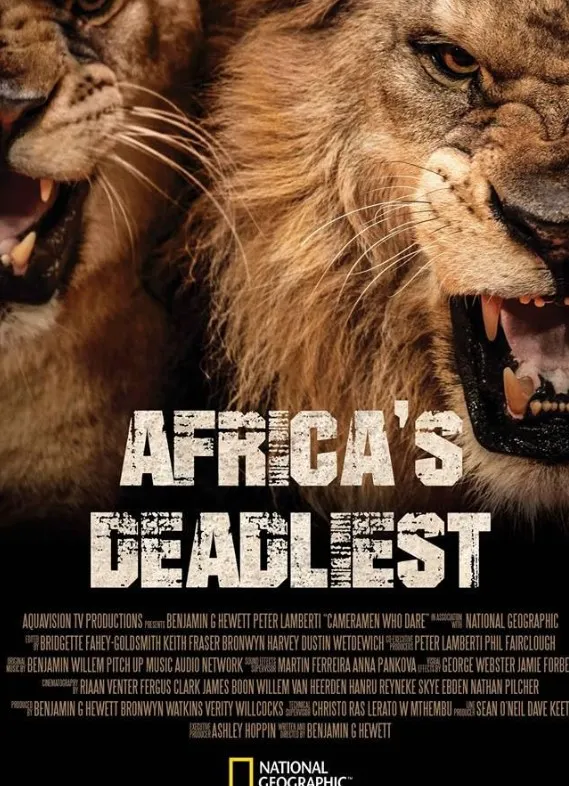     Najgroźniejsze zwierzęta Afryki