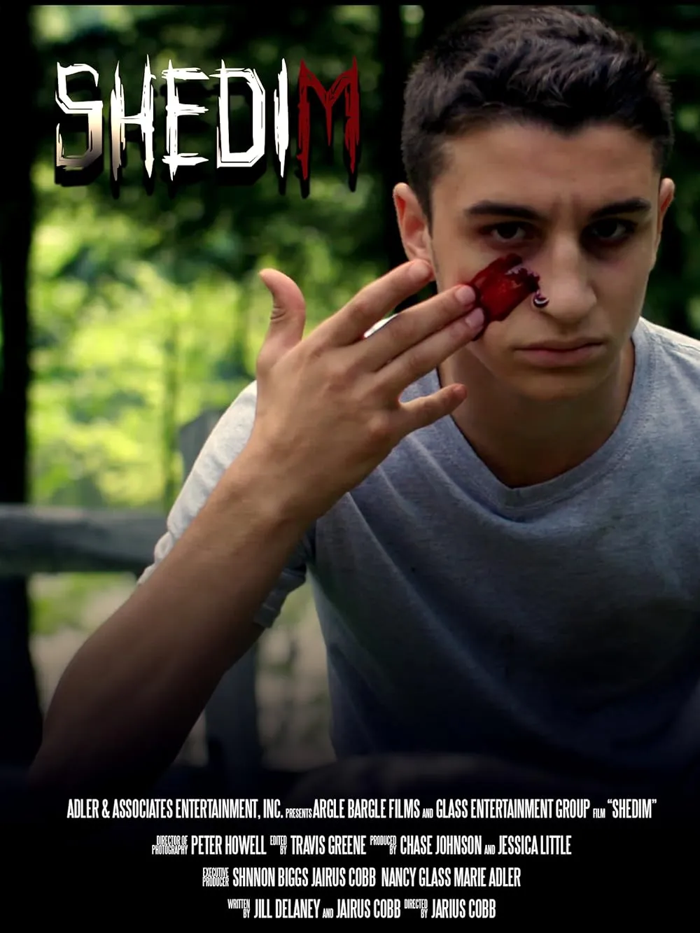     Shedim