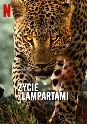     Życie z lampartami