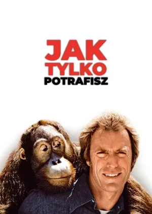     Jak tylko potrafisz