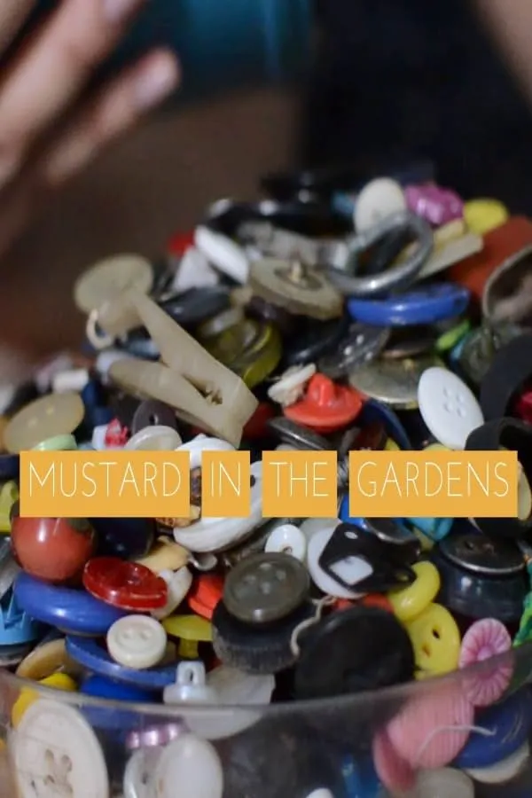     Mustard in the gardens