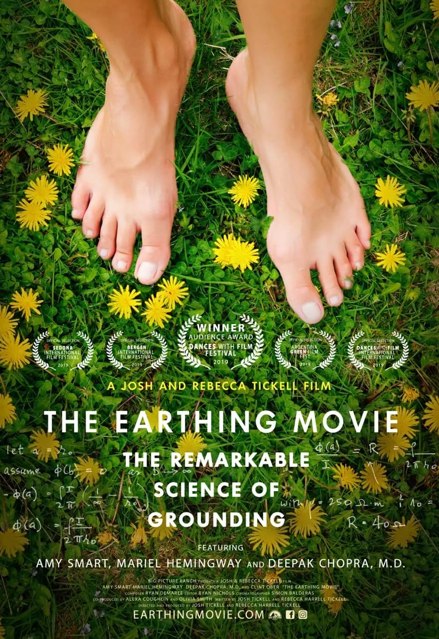     The Earthing Movie