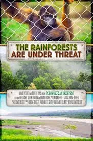     The Rainforests Are Under Threat