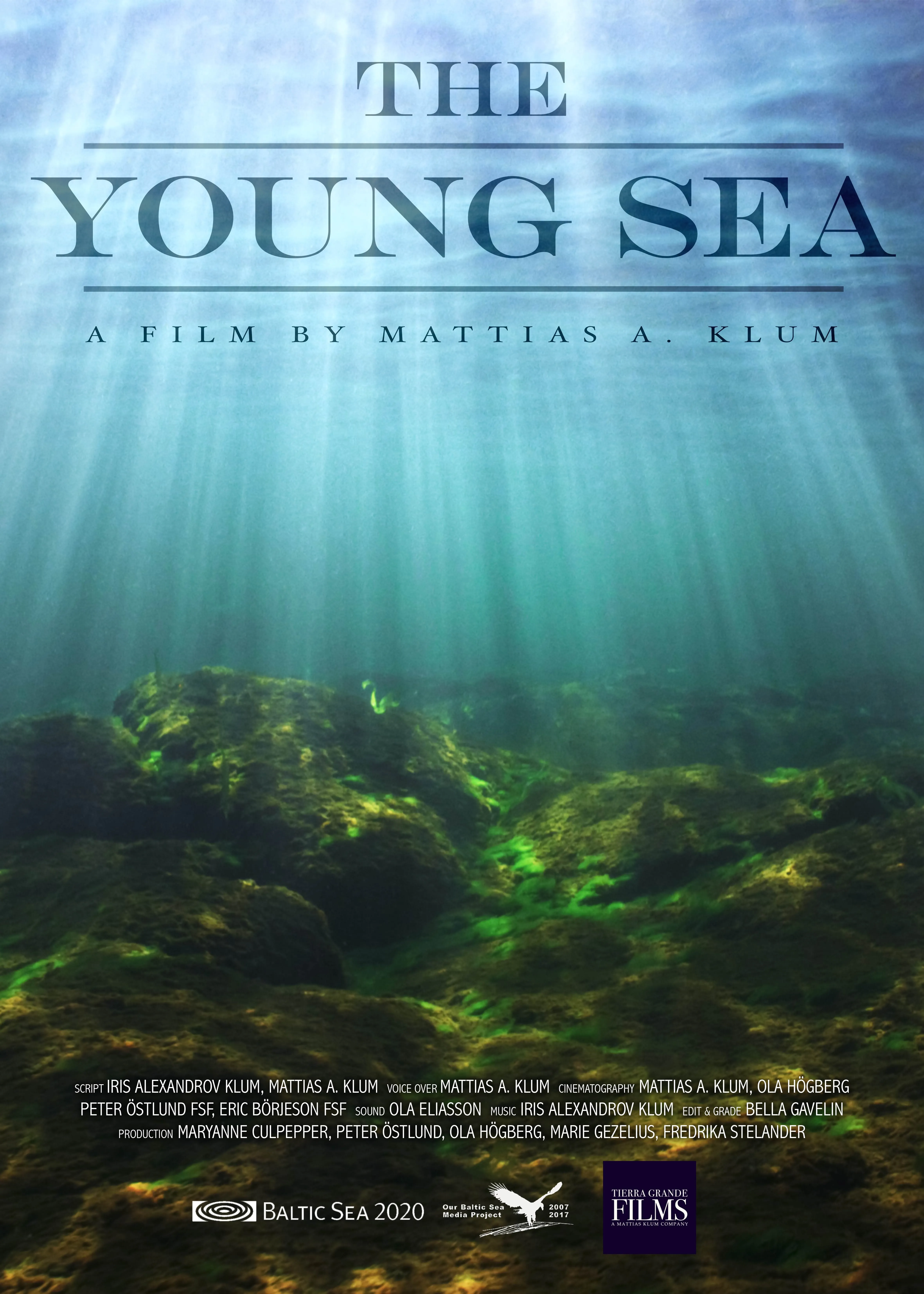     The Young Sea