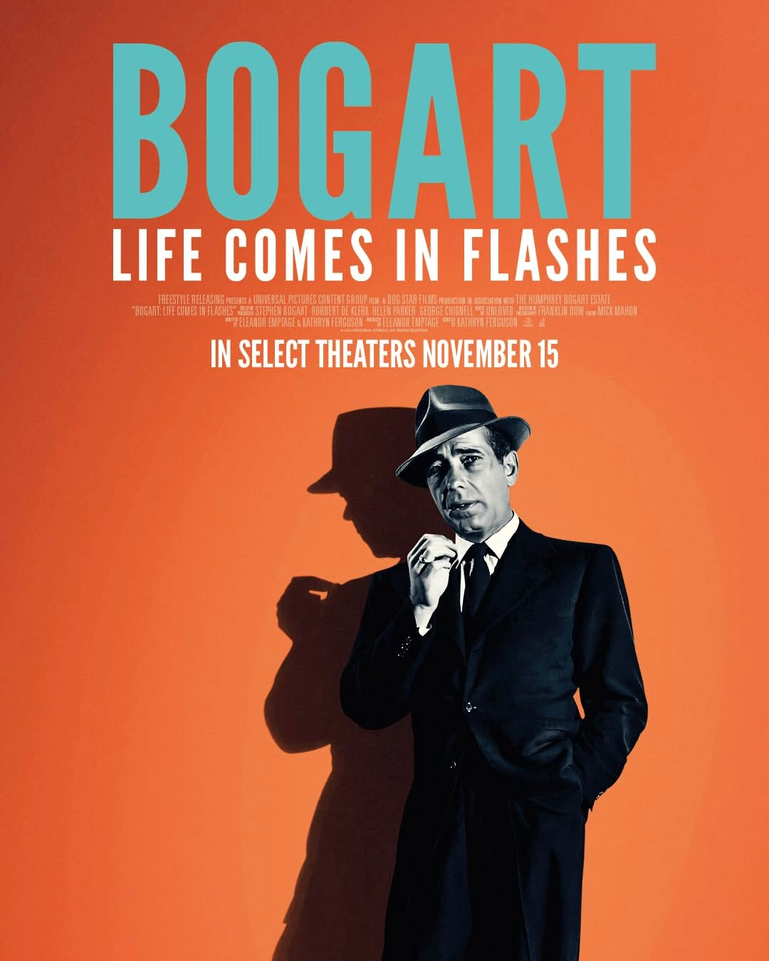     Bogart: Life Comes in Flashes