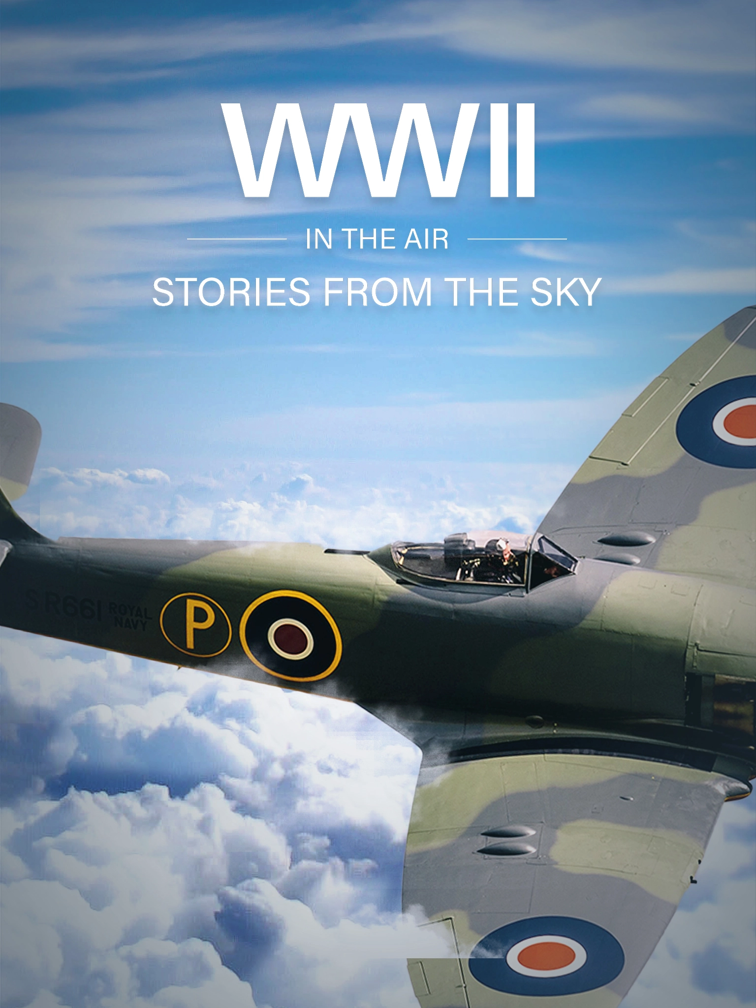     WWII in the Air: Stories from the Sky