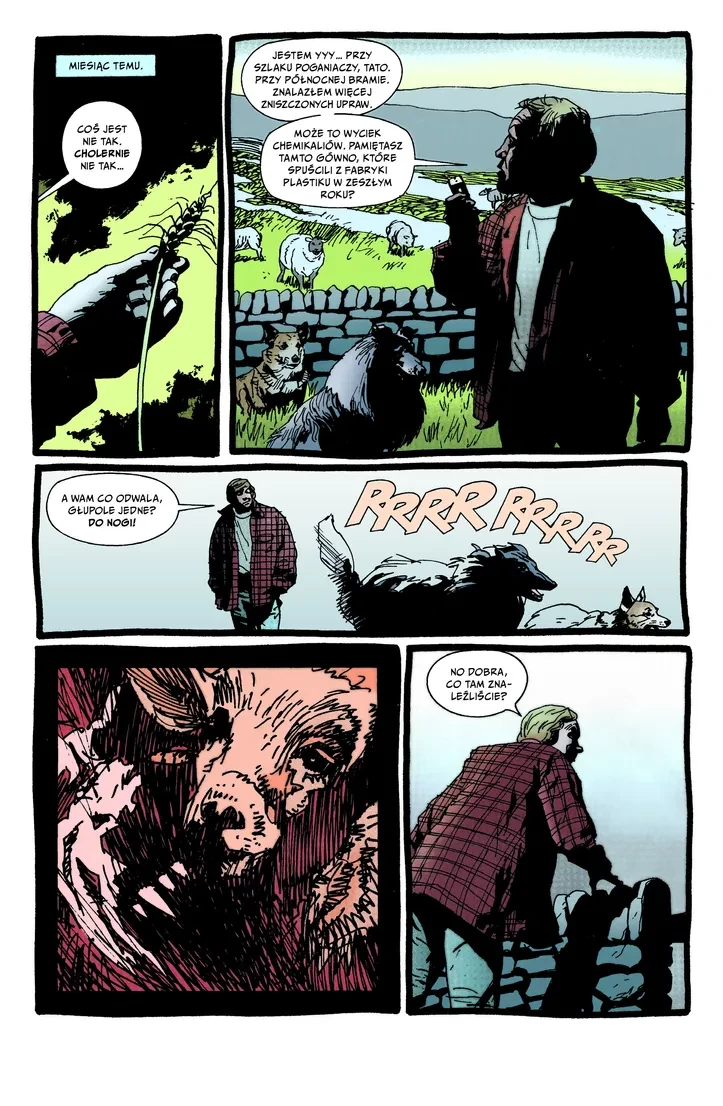 Hellblazer tom 2