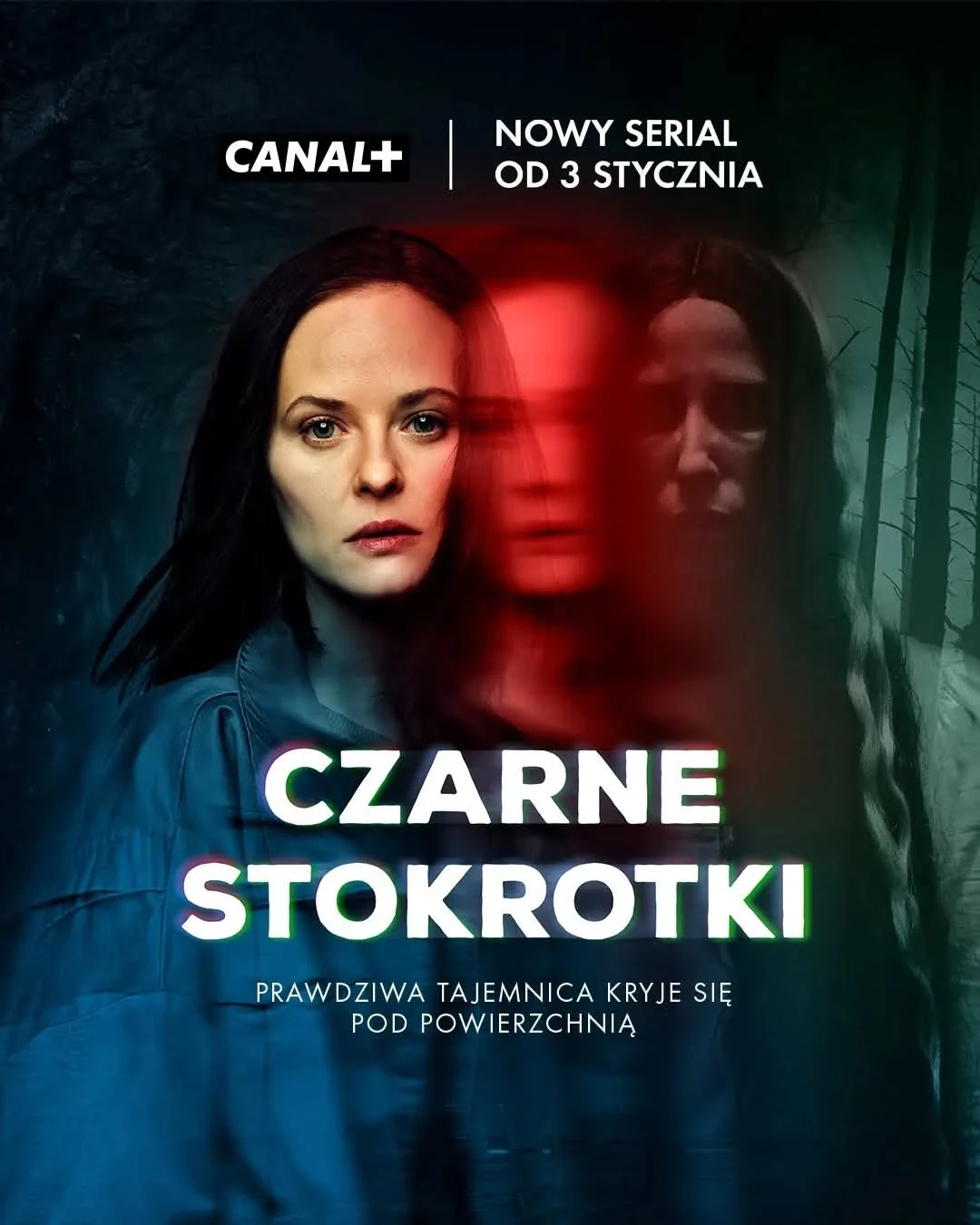     Czarne stokrotki