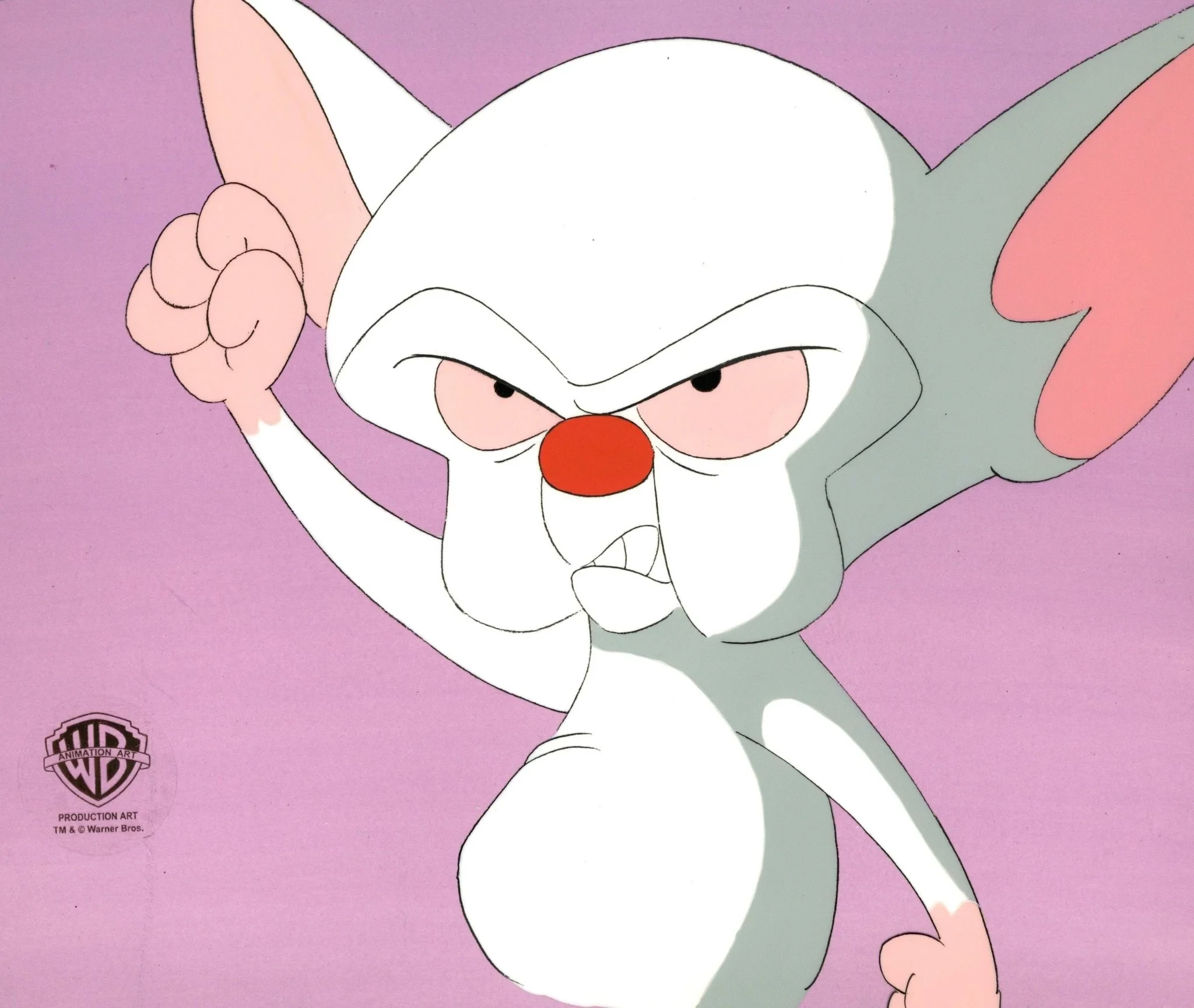 27. Mózg (Pinky i Mózg)