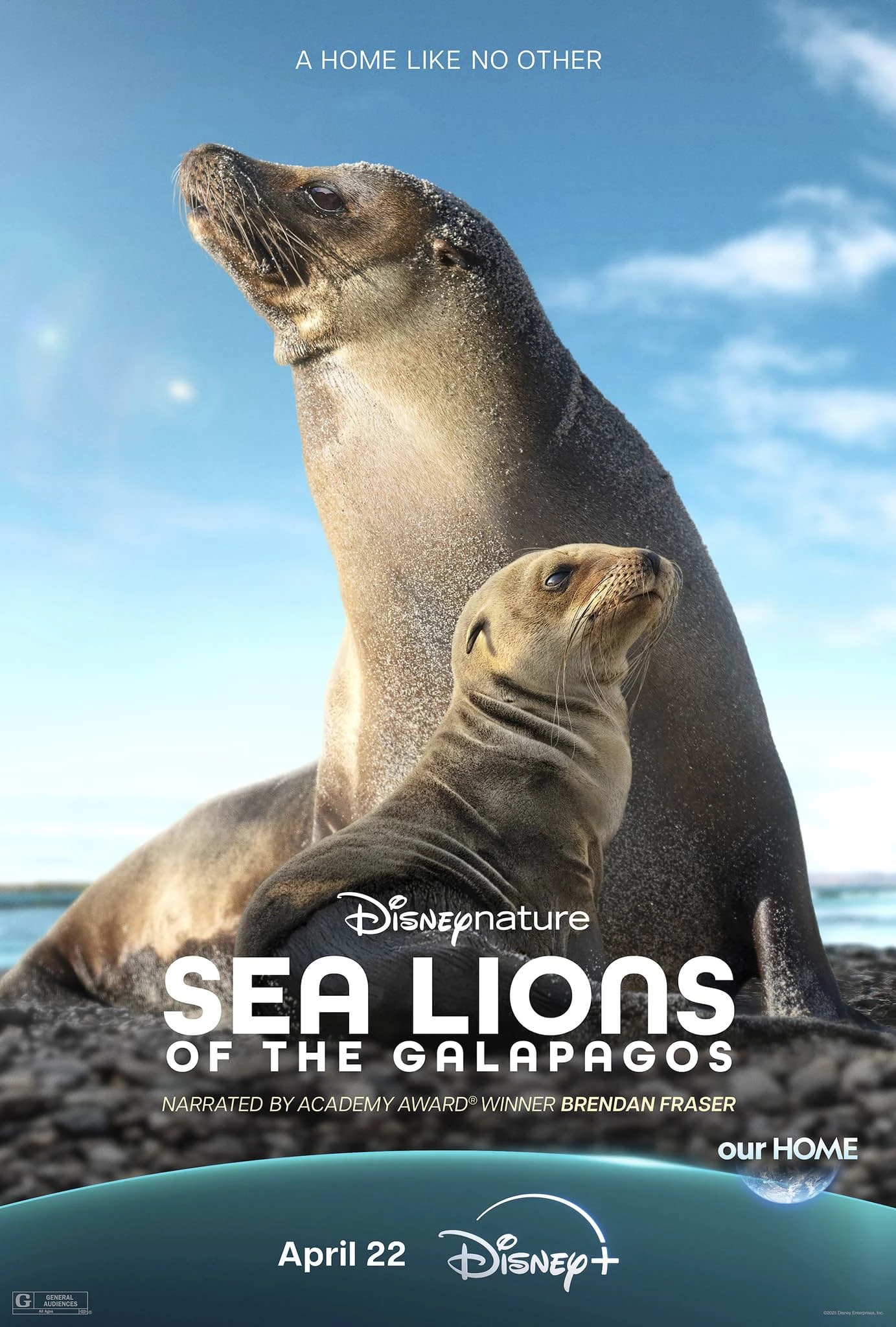     Lwy morskie z wysp Galapagos
