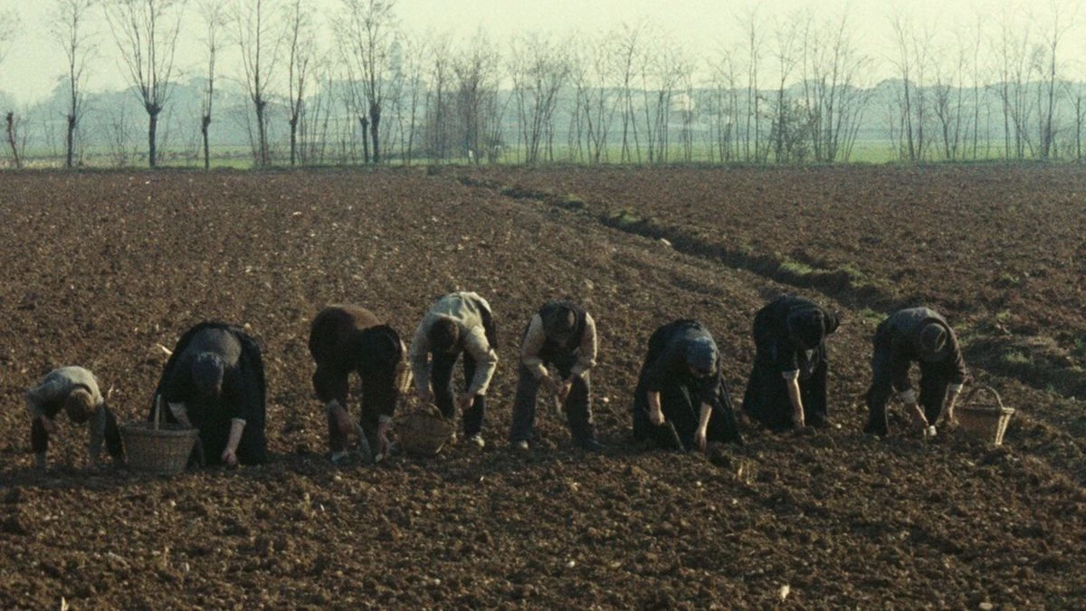 Drzewo na saboty – reż. Ermanno Olmi (1978)