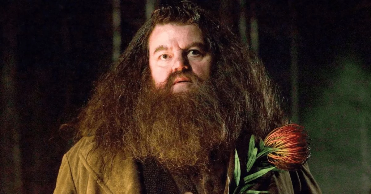 44. Rubeus Hagrid (seria Harry’ego Pottera)