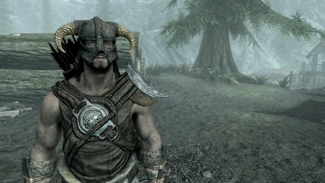6. The Dragonborn (The Elder Scrolls V: Skyrim)