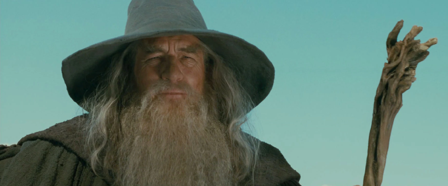 9. Gandalf (m.in. seria Władcy Pierścieni)
