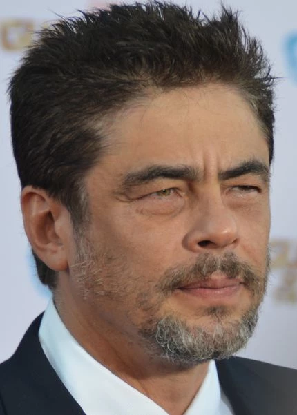 Benicio Del Toro