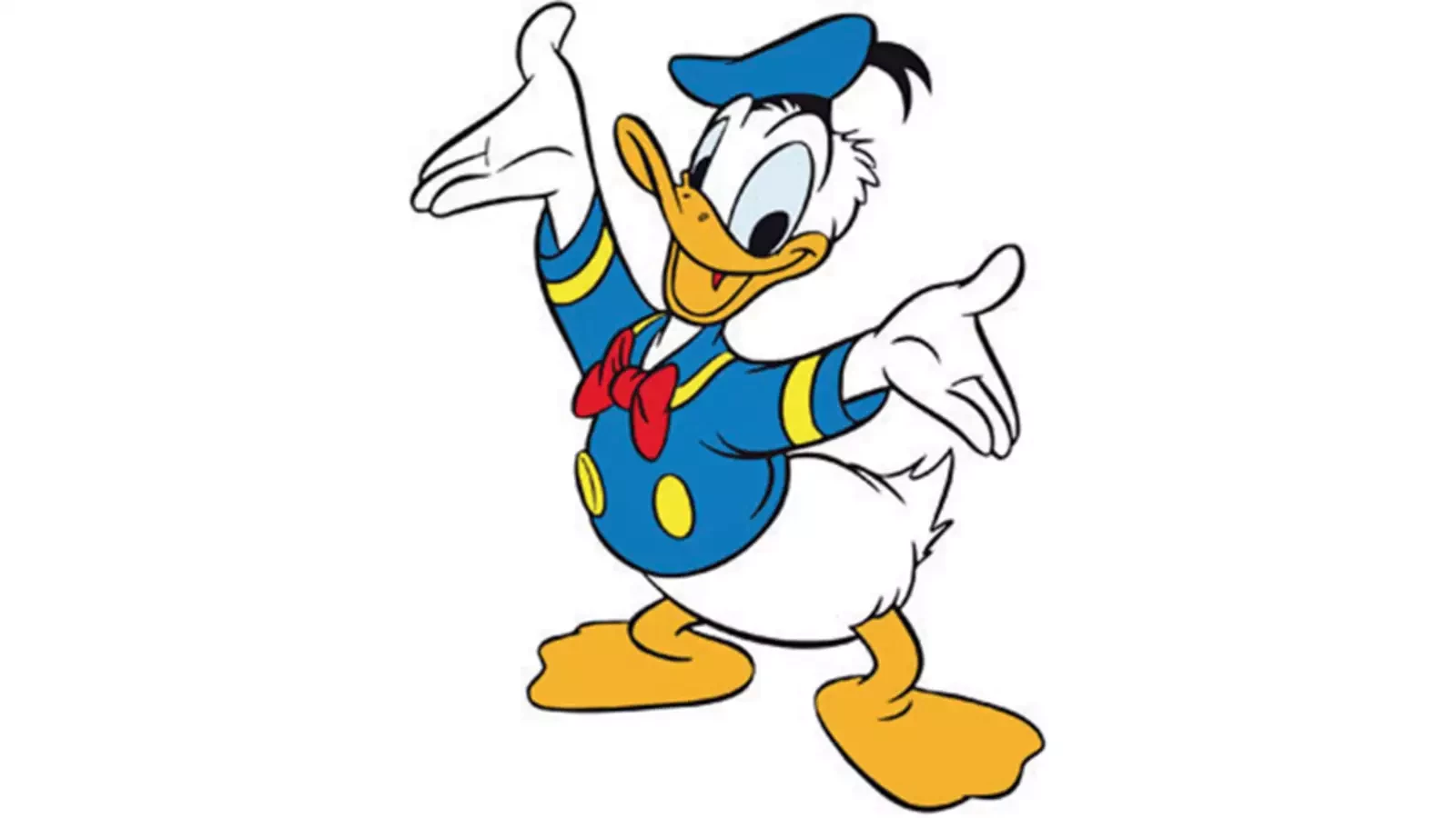 29. Kaczor Donald