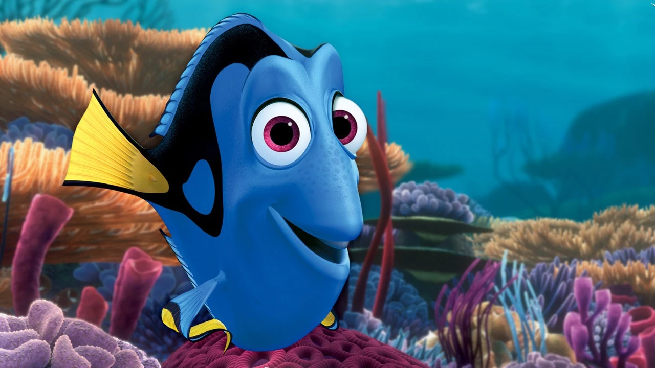 12. Dory (Gdzie jest Dory?)
