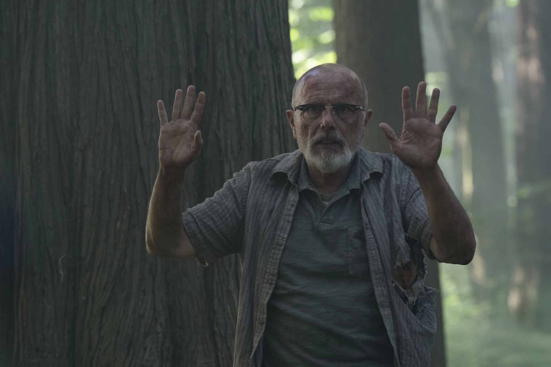 The Last of Us: sezon 2, odcinek 6