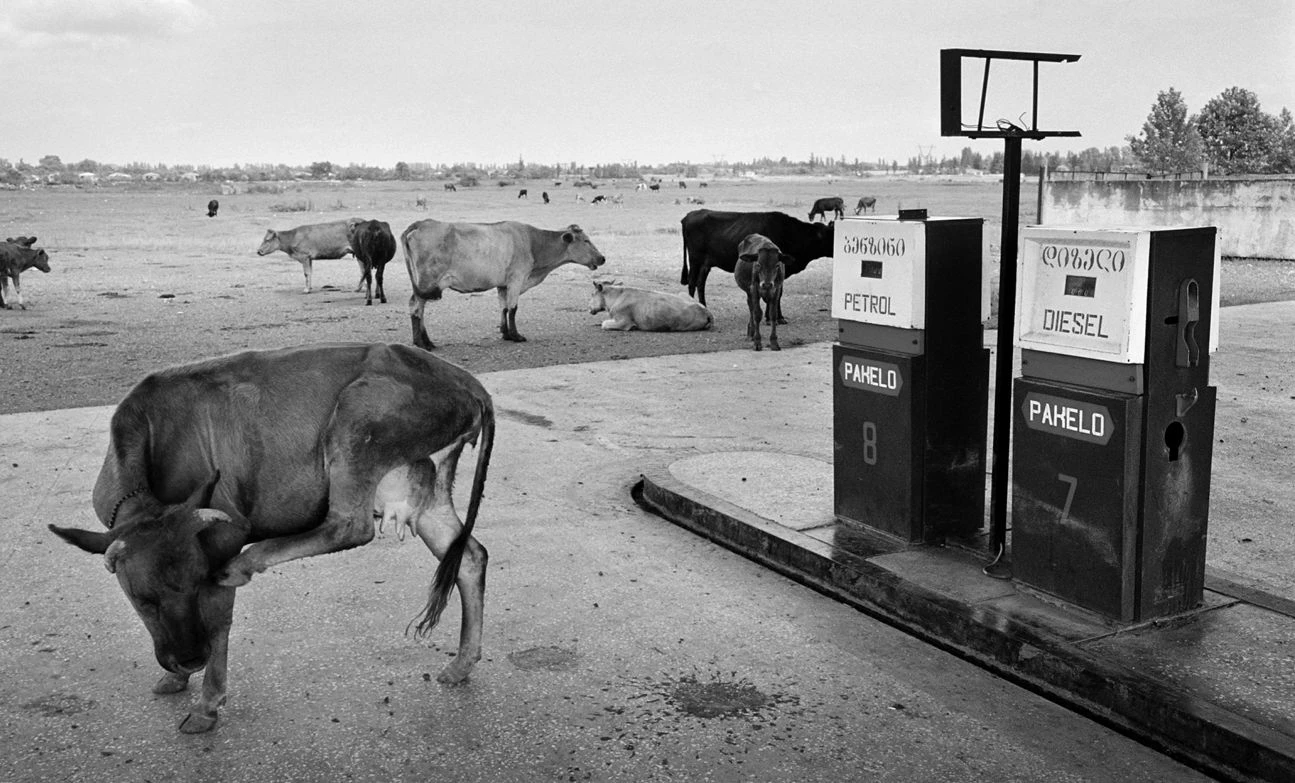 Końce światów - recenzja książki