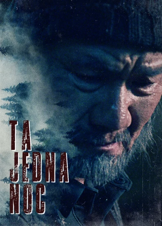     Ta jedna noc