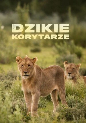     Dzikie korytarze