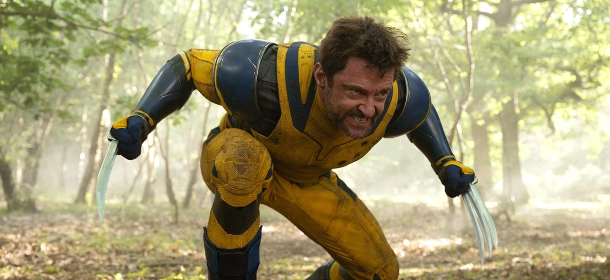 11. Wolverine