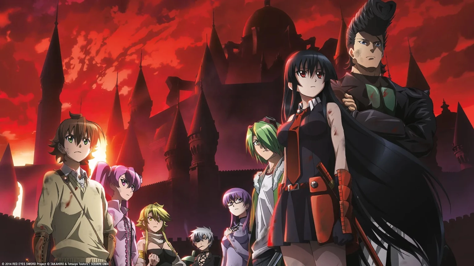 12. Akame ga Kill! (2014)