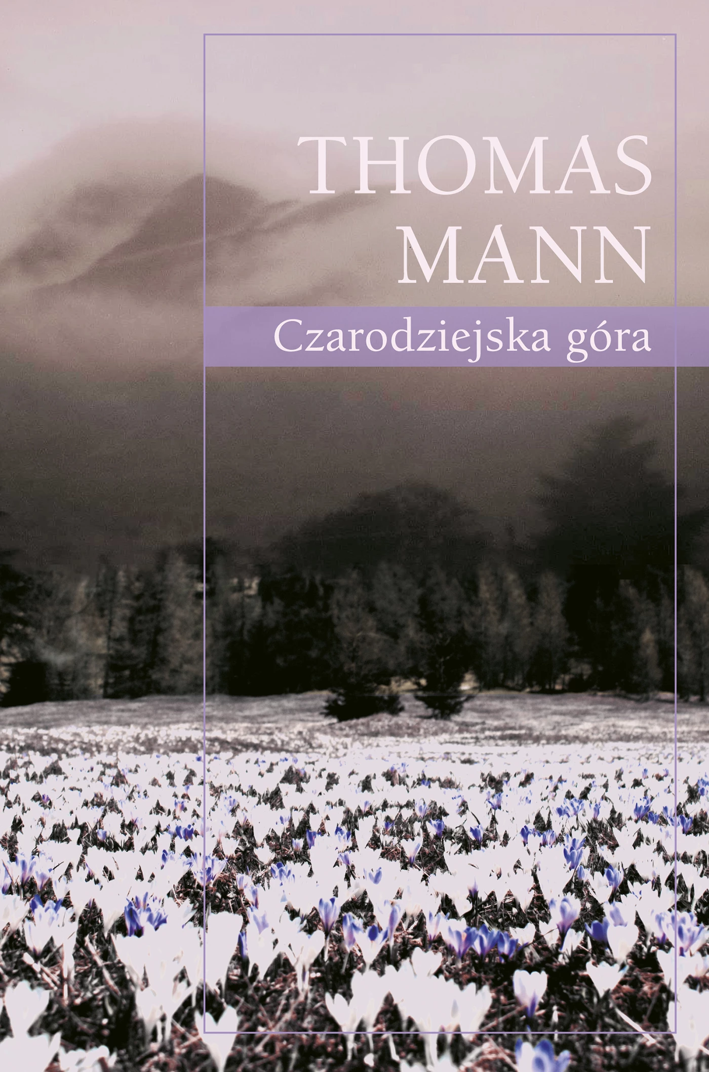 1. Thomas Mann, "Czarodziejska góra"