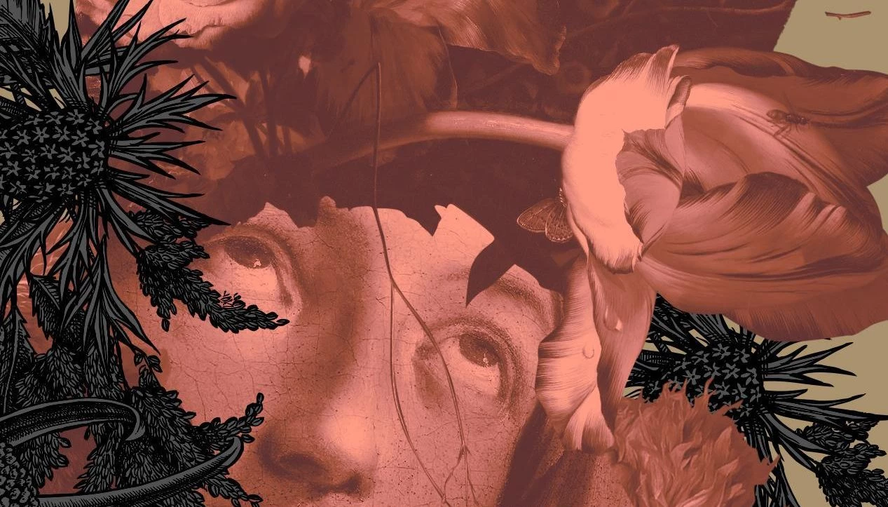 Szarlatanka - recenzja książki