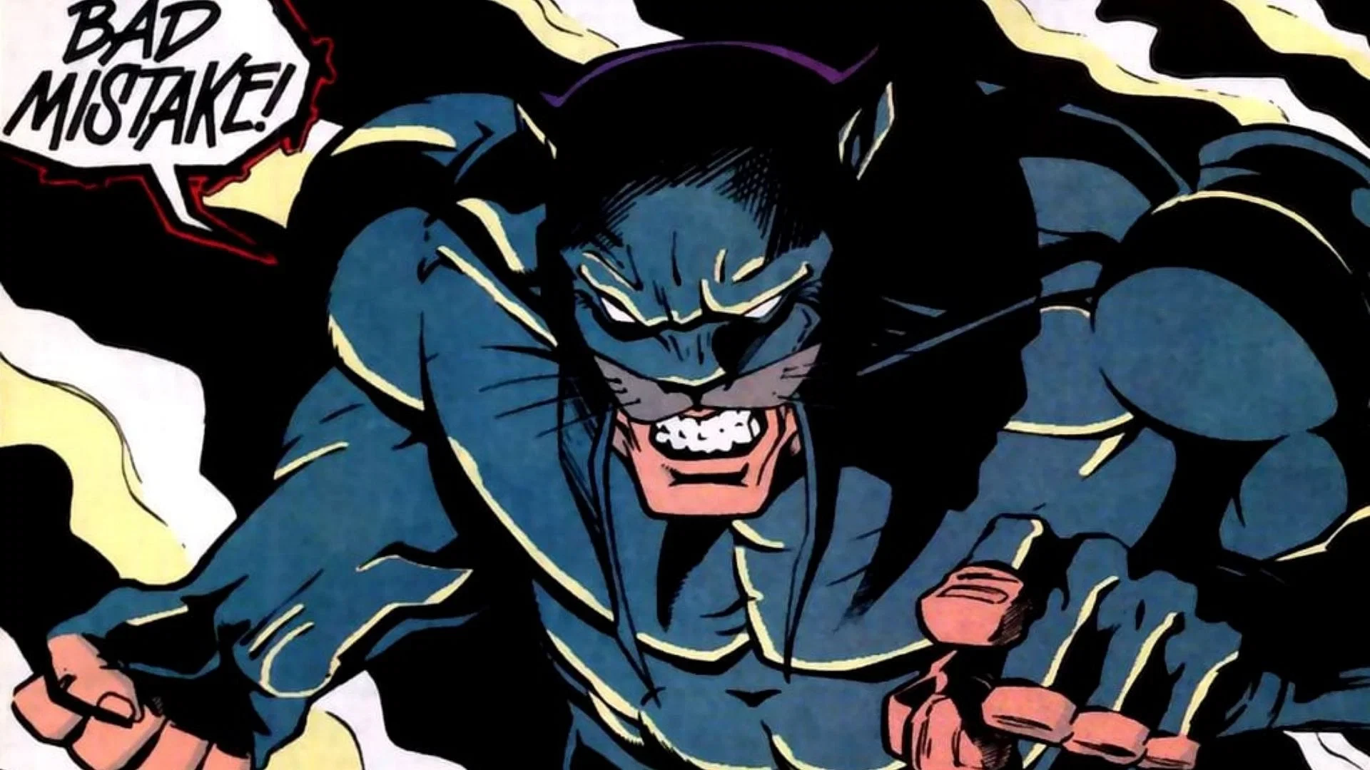 Wildcat – Ted Grant, były mistrz bokserski i członek Justice Society, znany z magicznej zdolności posiadania dziewięciu żyć.