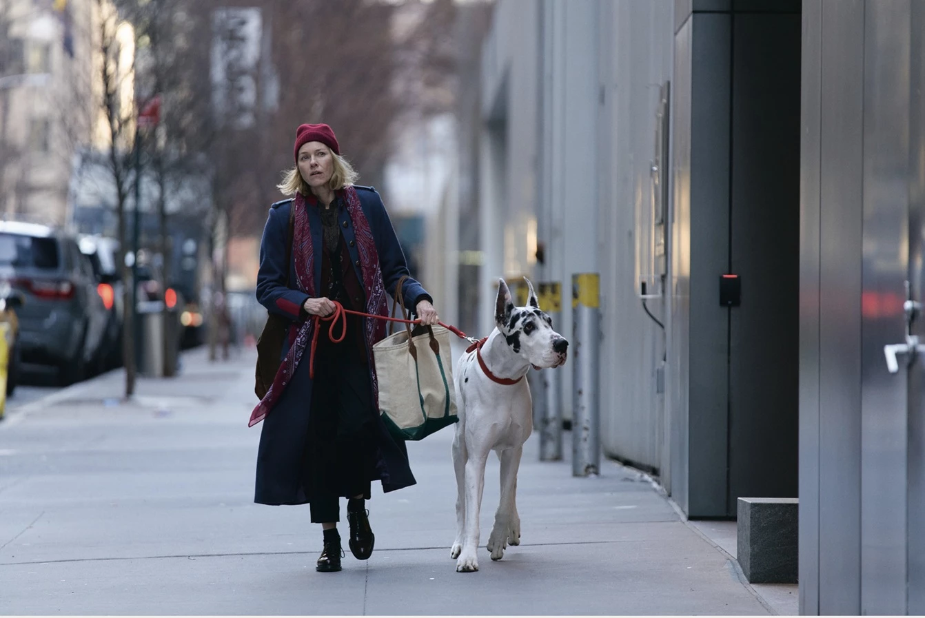 57. The Friend – 6,3 (80%)