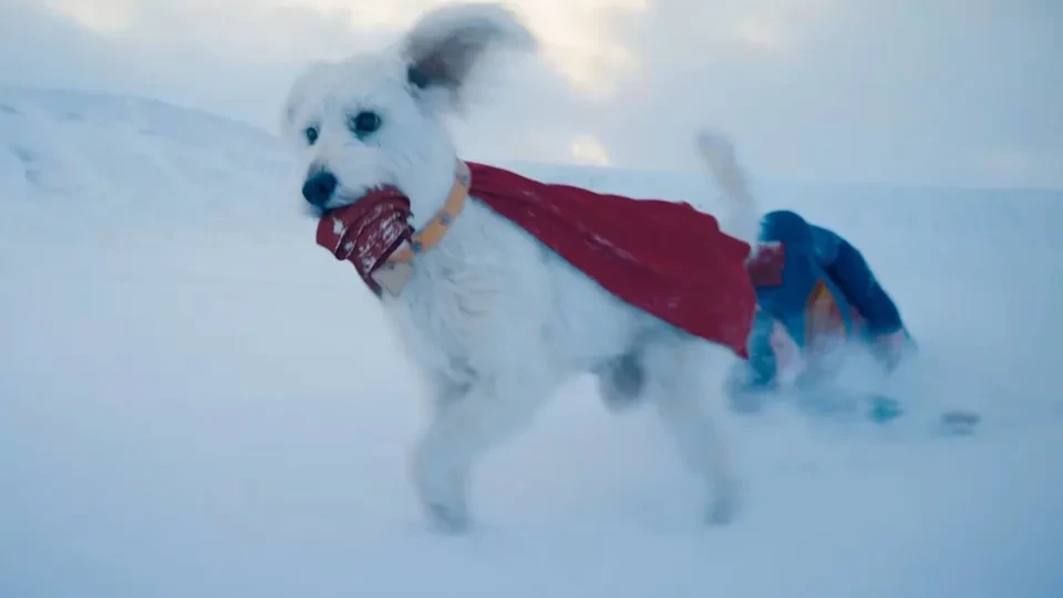 6. Krypto - posiada moce bardzo zbliżone do tych, jakie ma Superman. Potrafi latać, ma nadludzką siłę, szybkość i wyostrzone zmysły. Jest jednym z najpotężniejszych bohaterów, ograniczonym jedynie przez swoją psią inteligencję.