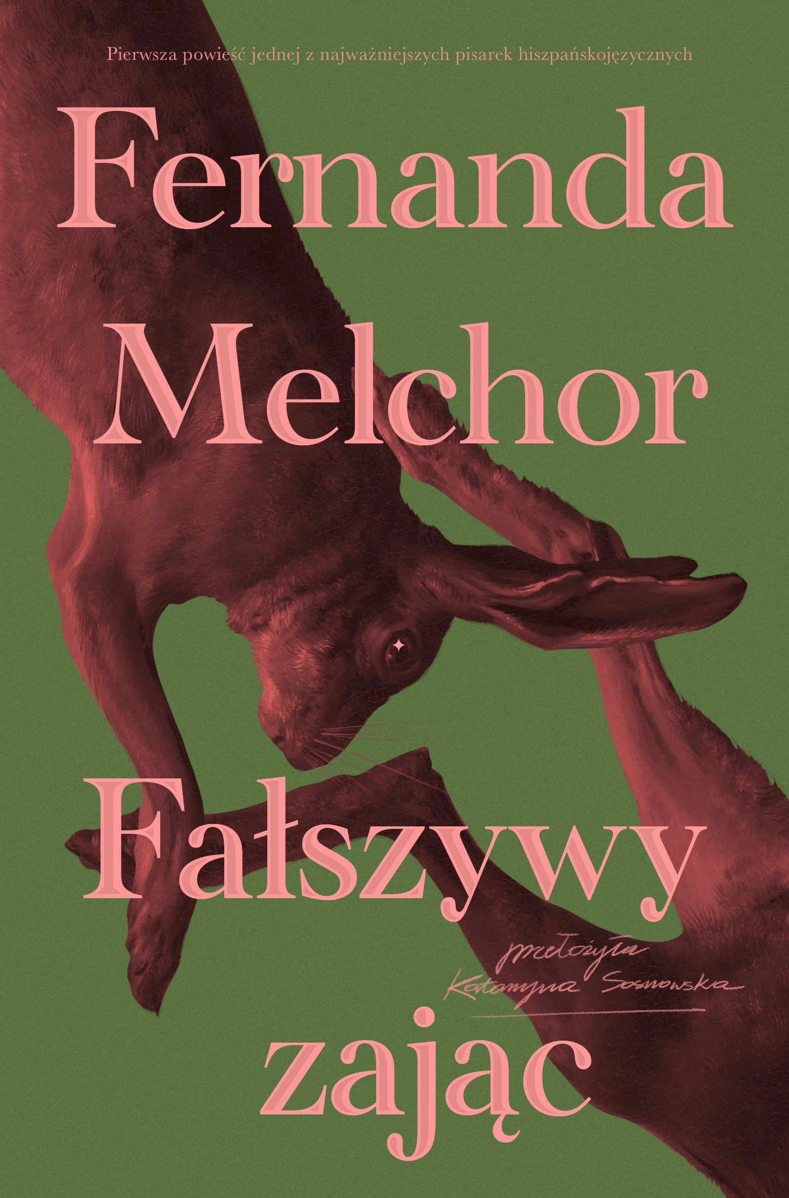 Fałszywy zając - okładka
